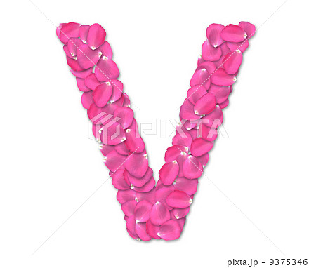 Font from rose petals Font from rose petals 9375346