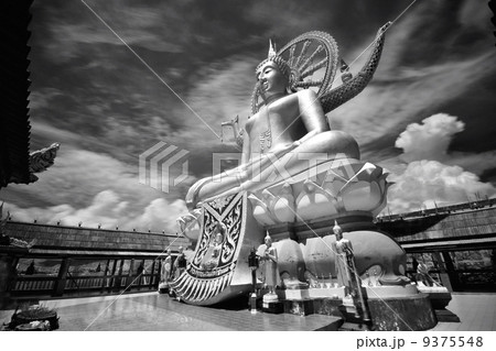big buddha 9375548