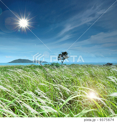 field field 9375674