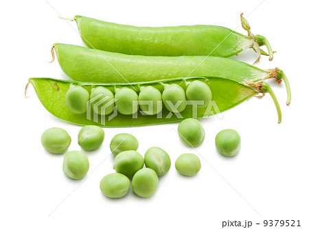 Pea 9379521
