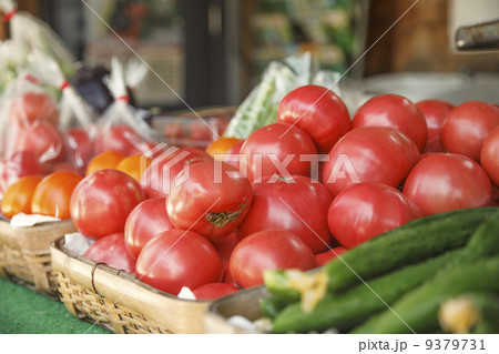野菜直売所 野菜直売所 9379731