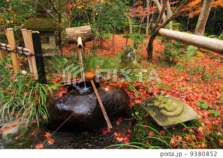 祇王寺の晩秋 9380852