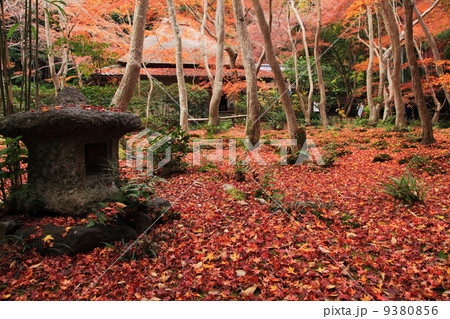 祇王寺の晩秋 祇王寺の晩秋 9380856