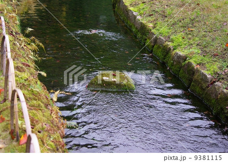 秋の岡山後楽園の水路 9381115