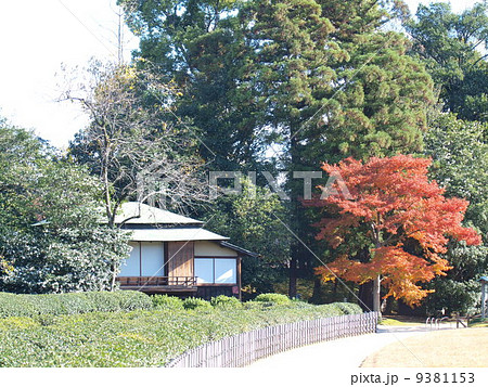 小春日和の岡山後楽園 9381153