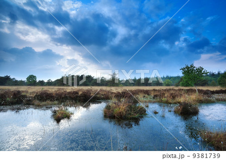 blue cloudscape over wild swamp 9381739