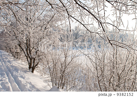 Cold winter day Cold winter day 9382152