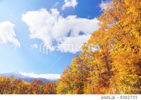 乗鞍高原 9382735