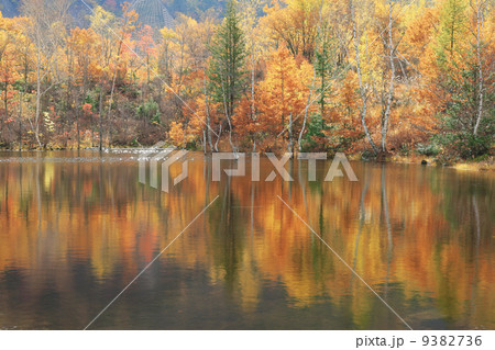 まいめの池 9382736