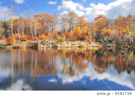 まいめの池 まいめの池 9382738