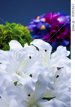 カサブランカブーケ 9382927