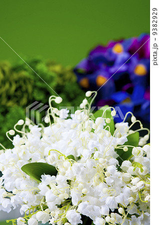 スズラン 9382929