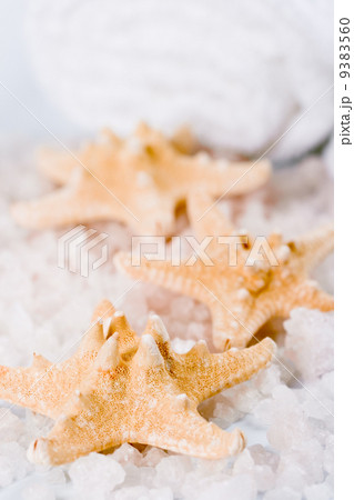 seasalt, towel and sea stars 9383560