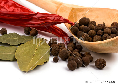 spices 9385686