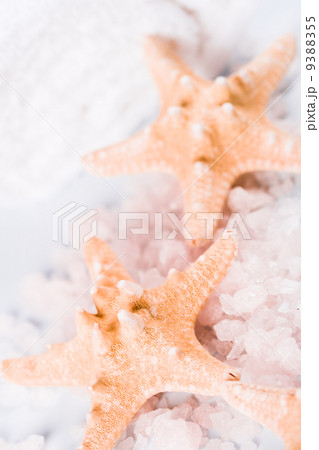 seasalt, towel and stadfish 9388355