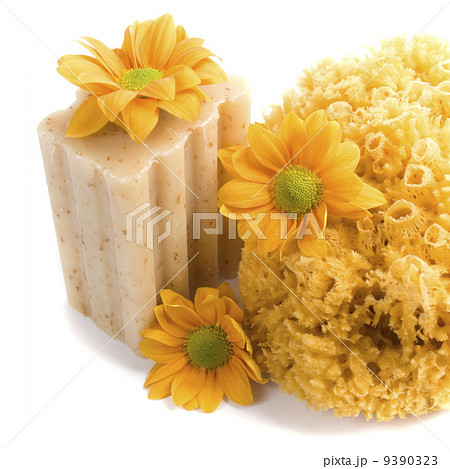 natural sponge, soap and flowers natural sponge, soap and flowers 9390323