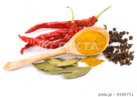 spices 9390751