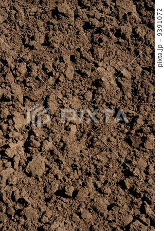 soil 9391072