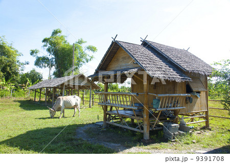 高床式住居 9391708