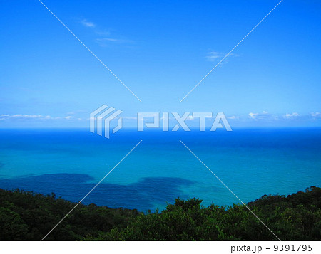 室戸岬の高岡園地展望台から見た太平洋 9391795