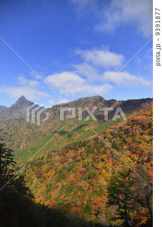 石鎚スカイラインからの紅葉と石鎚山頂 石鎚スカイラインからの紅葉と石鎚山頂 9391877