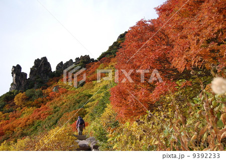 黒岳紅葉トレッキング 黒岳紅葉トレッキング 9392233