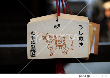 下鴨神社の丑歳絵馬 下鴨神社の丑歳絵馬 9392520