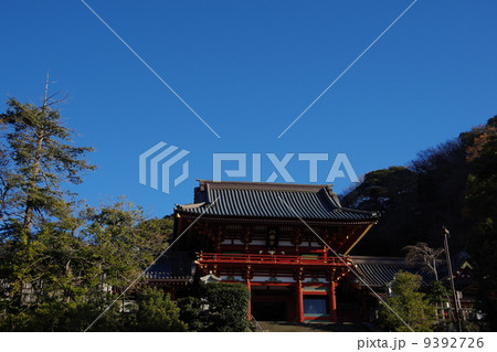 快晴の鶴岡八幡宮 快晴の鶴岡八幡宮 9392726