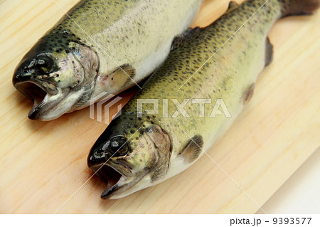 川魚～にじます 9393577