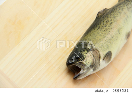 川魚~にじます 川魚~にじます 9393581