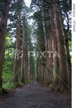 戸隠神社 戸隠神社 9393868