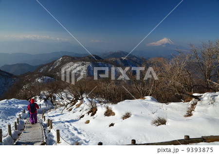 雪山登山in丹沢 9393875
