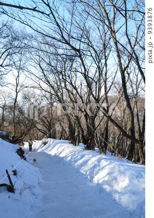 雪山の登山道　 9393876