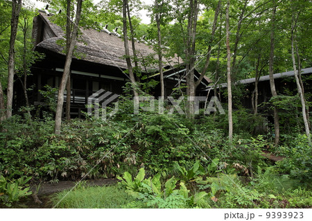 乳頭温泉郷 鶴の湯 乳頭温泉郷 鶴の湯 9393923