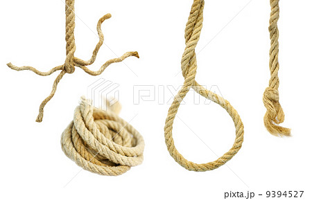 Rough rope 9394527