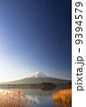 黄金薄と霊峰富士 9394579