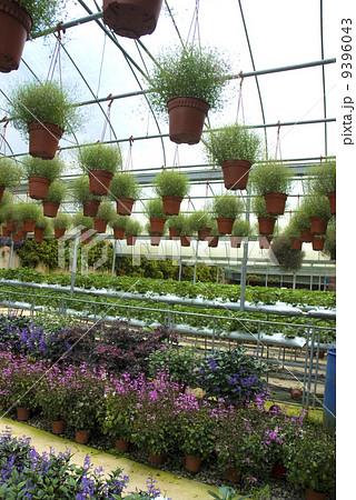 nursery garden nursery garden 9396043