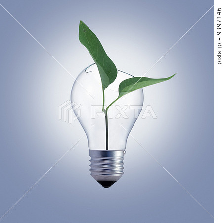Bulb with green plant 9397146