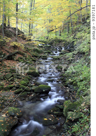 Autumnal Creek in Beskydy Mountains  9397181
