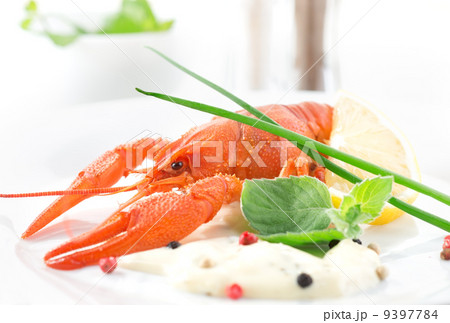 Red crayfish 9397784