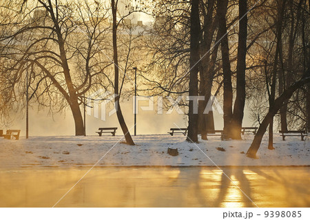 Frosty morning 9398085