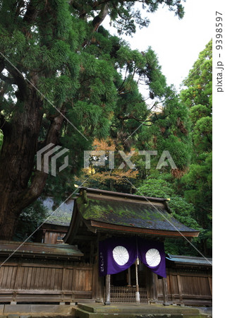 若狭姫神社 9398597