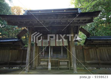 若狭彦神社 9398623