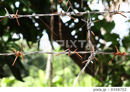 Rusty barbwire Rusty barbwire 9398702