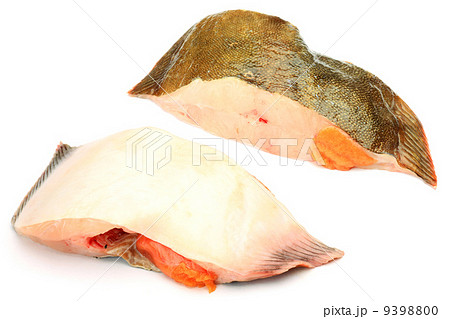 ナメタカレイ ナメタカレイ 9398800