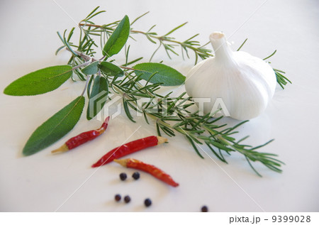 ハーブ＆スパイス 9399028