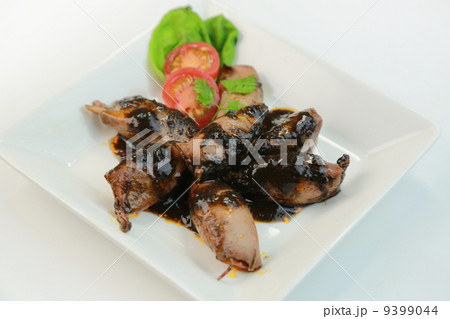 イカスミ 9399044