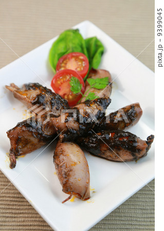 イカスミ 9399045