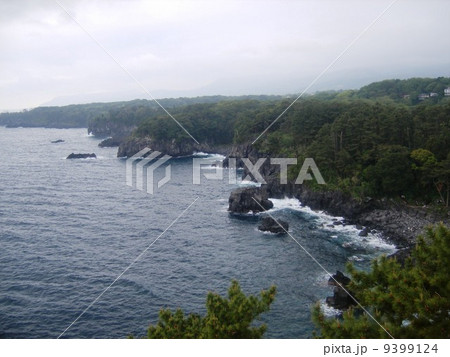 伊豆城ヶ崎海岸の岸壁 9399124