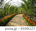 あしかがフラワーパークの花のトンネル 9399127